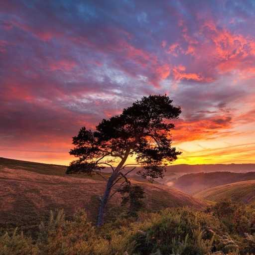 Energy Efficiency Training - Enrollment Survey Original 